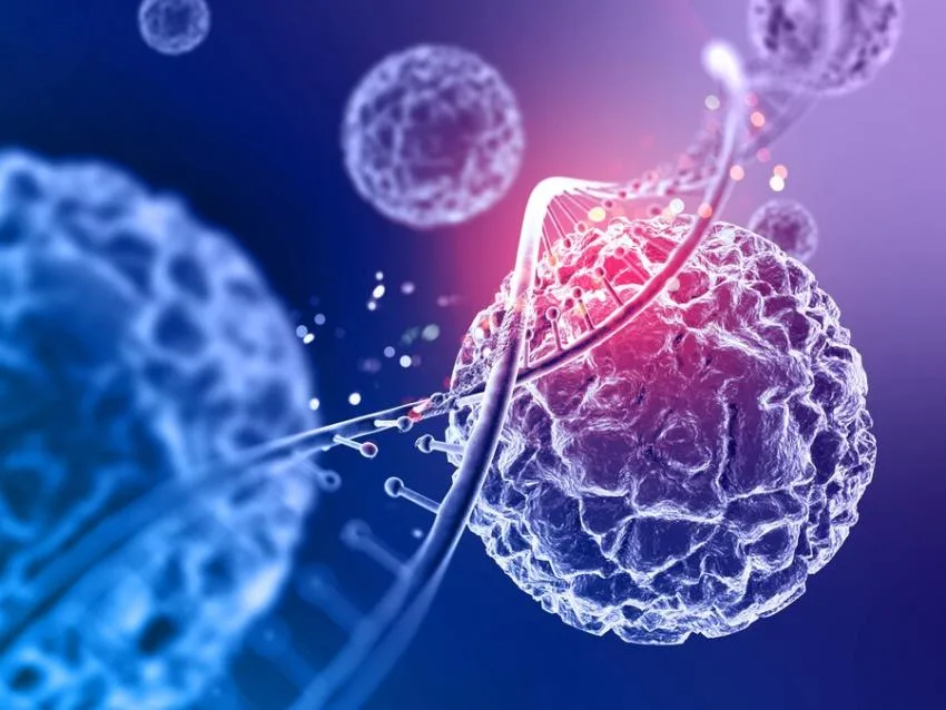 How Biotechnology Is Driving Innovation in Dual Layer Membrane and Amniotic Membrane Products