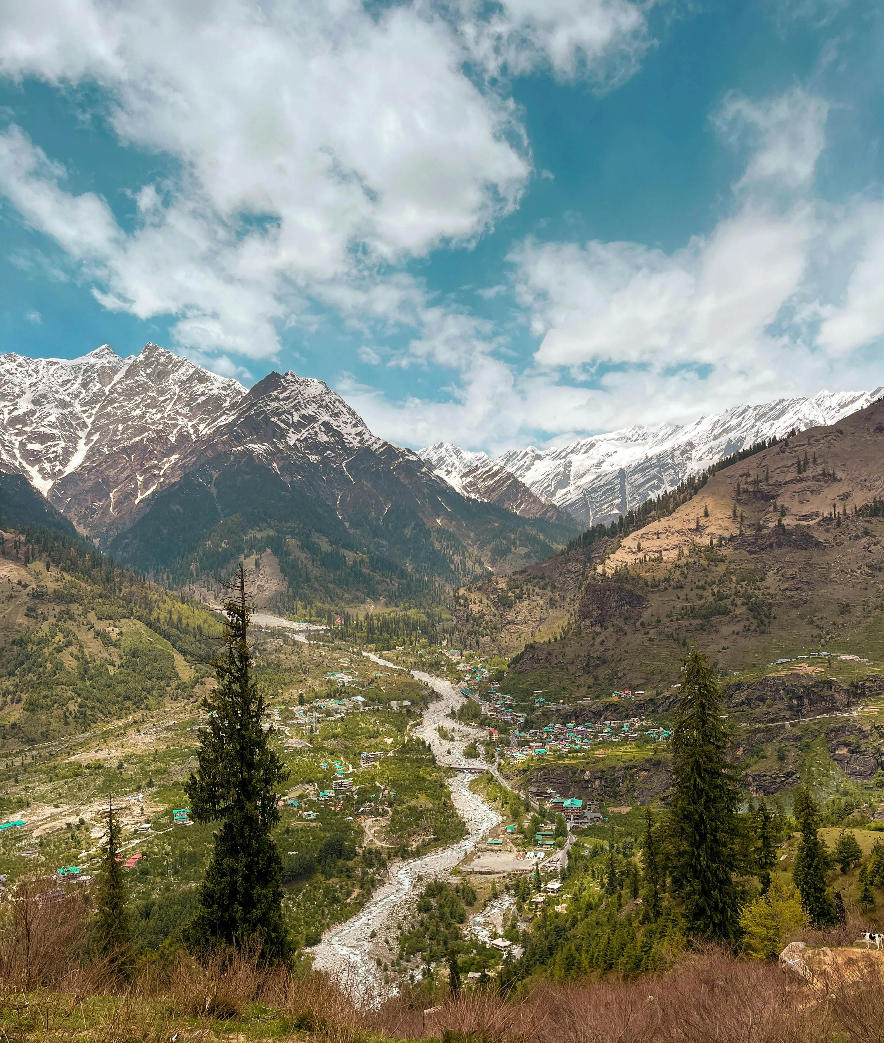 Why the Hampta Pass Trek Is a Must-Do Himalayan Experience