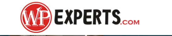 Top Web Development Company: What Defines Excellence in Modern Web Solutions