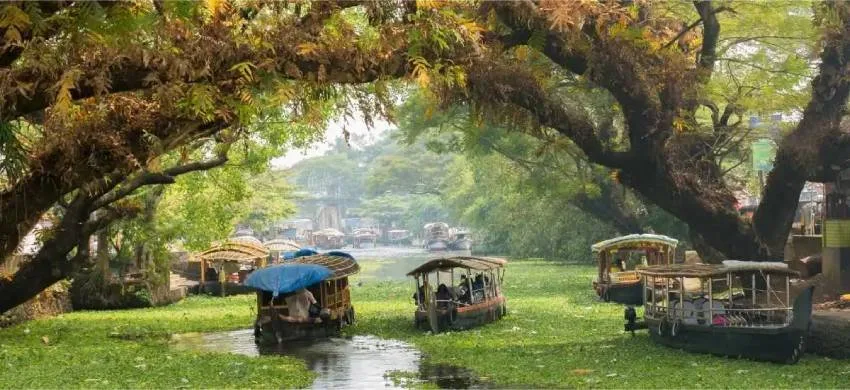 Discover God’s Own Country with the Best Kerala Tour Package
