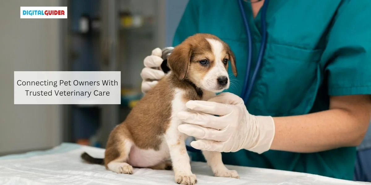 Veterinary SEO Marketing How Veterinary Practices Can Attract More Local Pet Owners