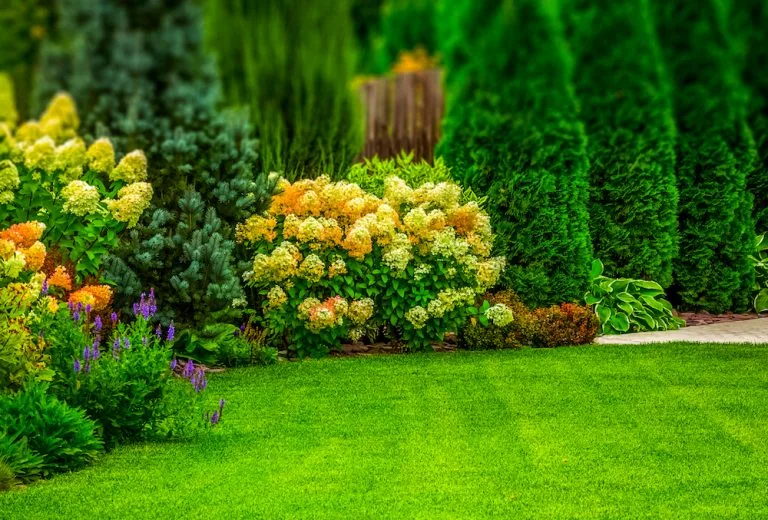 How Expert Lawn Mowing Services Enhance Property Value