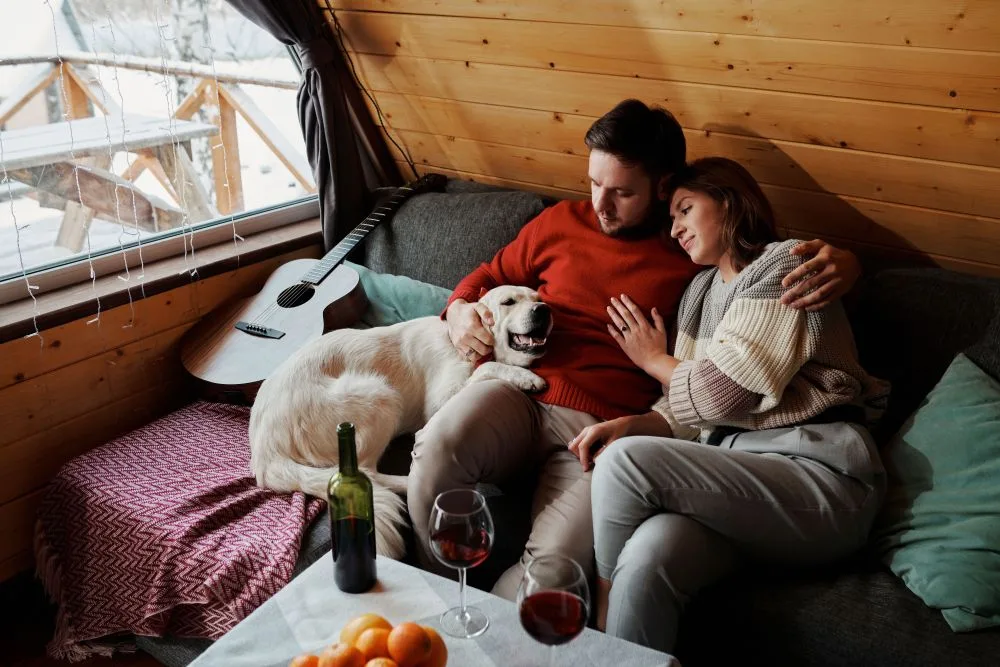 6 Things to Pack When Staying in Pet-Friendly Cabins