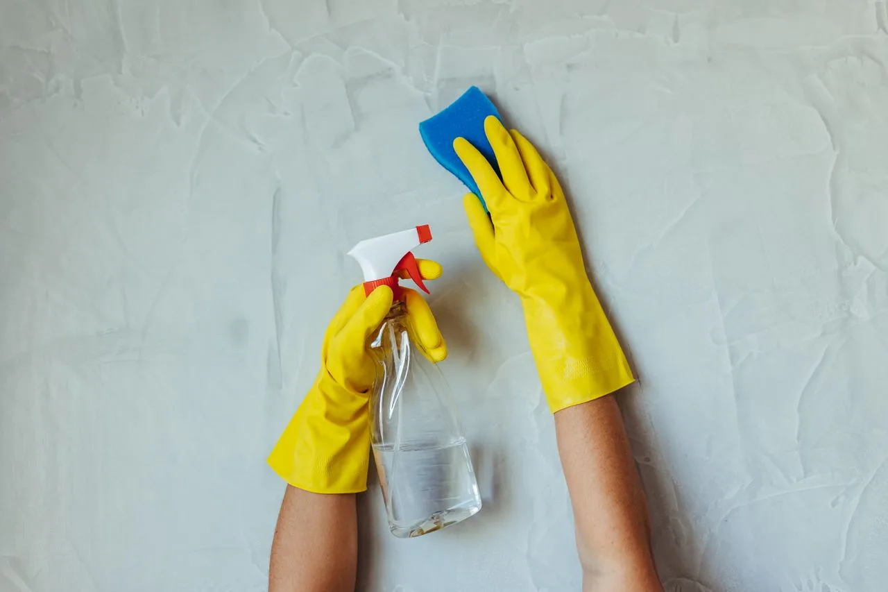 5 Signs Water Damage Is Hiding Behind Your Walls