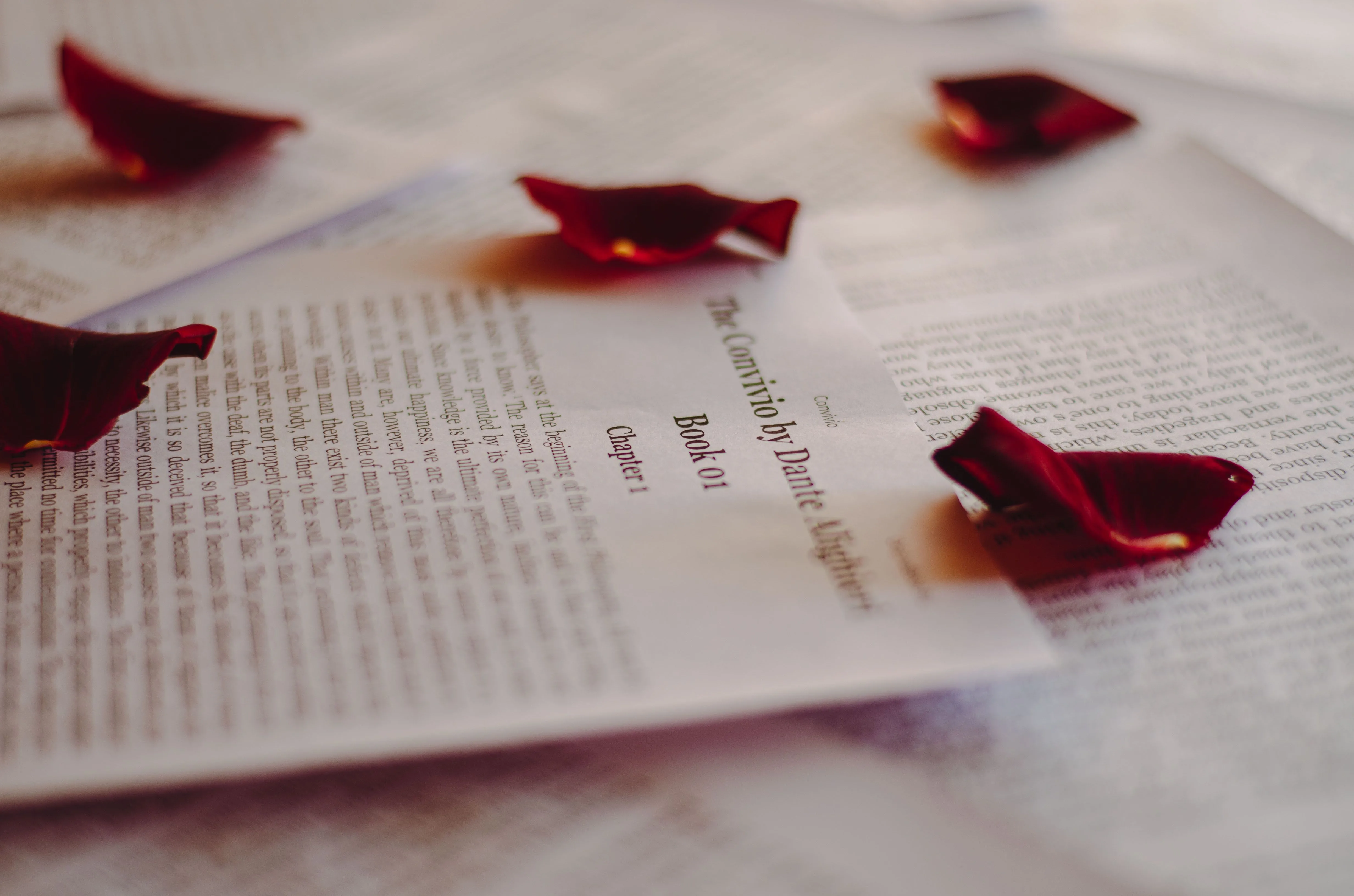 English Quotes: Best Lines for Life, Love, Motivation and Attitude