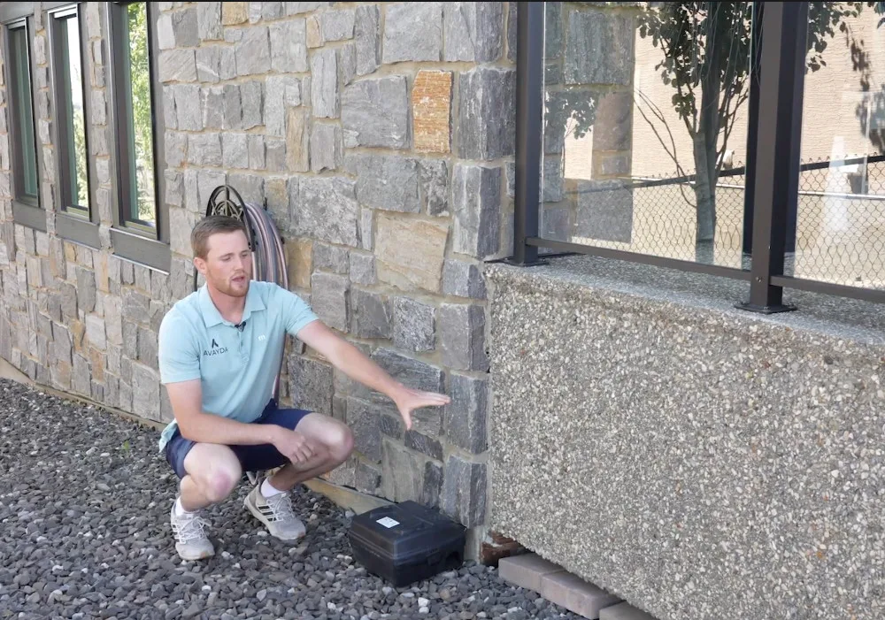 How to Rodent-Proof Your Home Across British Columbia