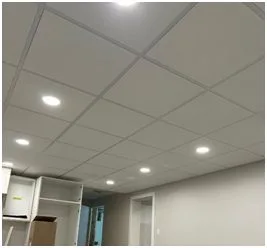 Patterson Bros. Drywall: Delivering Acoustic T-Bar Ceiling Installation