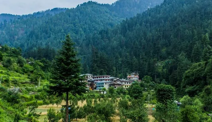 Things to Do in Jibhi: Complete Guide to Waterfalls, Treks & Hidden Himalayan Beauty