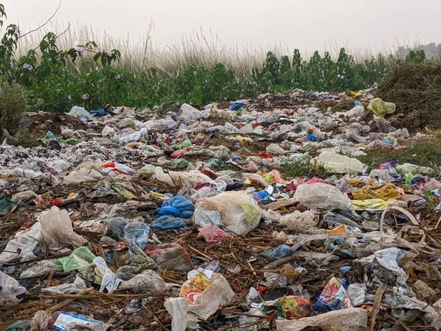 How Big Businesses Can Rely on Professionals to Manage Industrial Waste