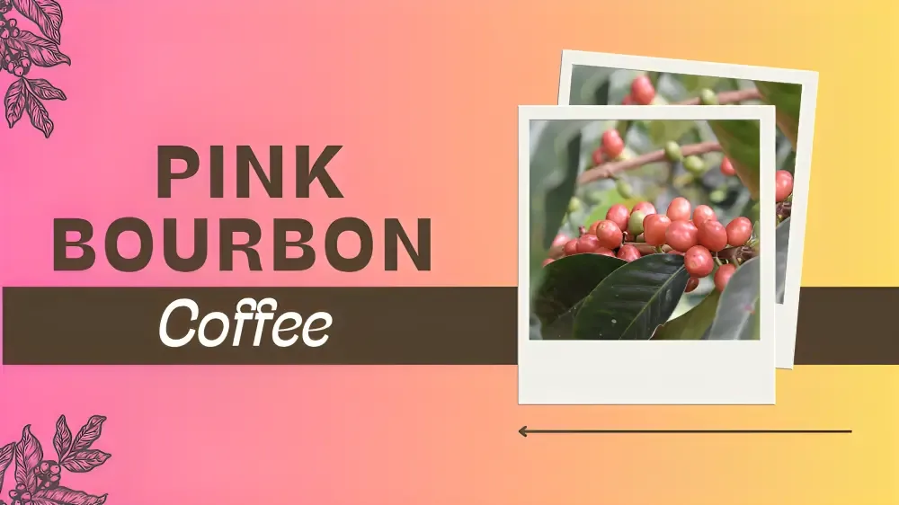 Pink Bourbon Coffee