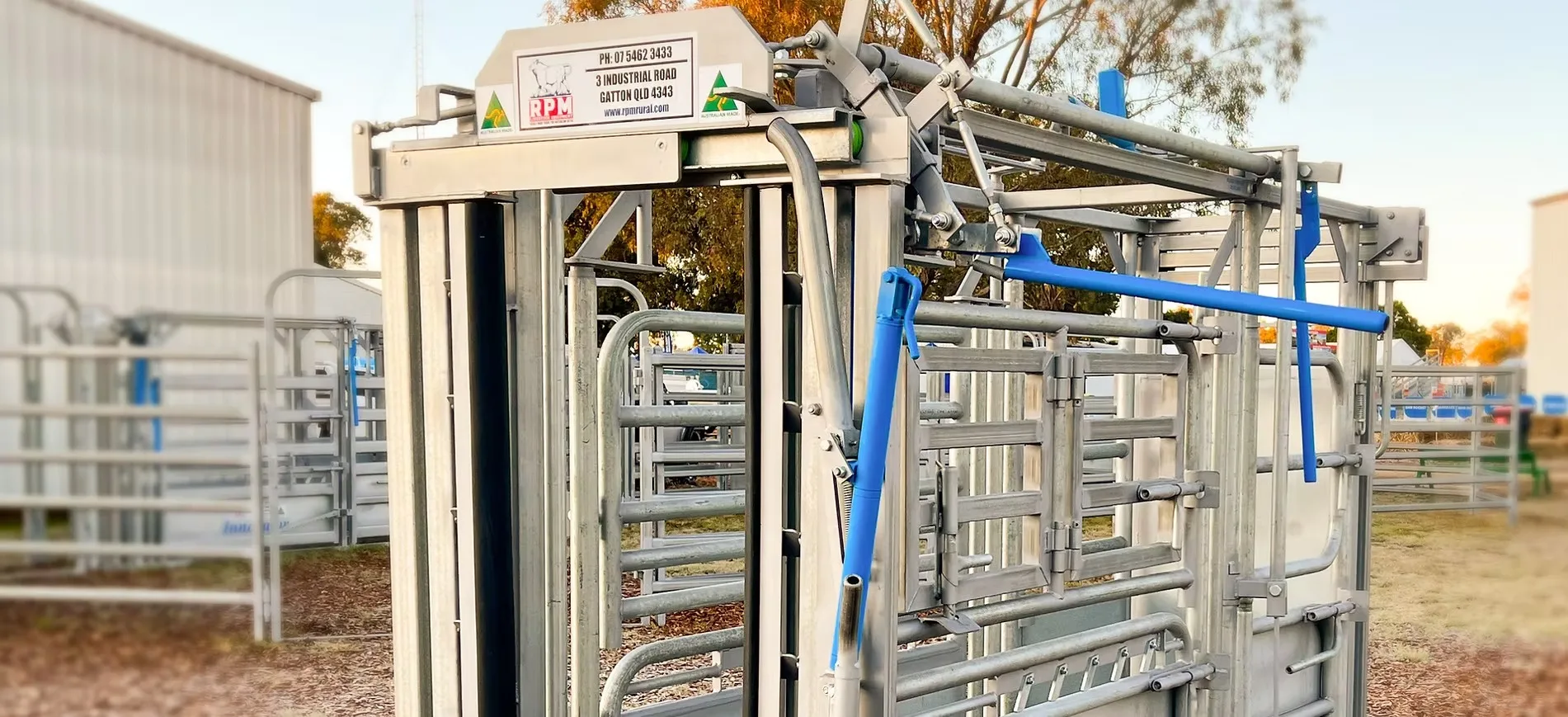 How Does a Quality Cattle Head Bail Help You Handle a Bigger Herd During Restocking Season?