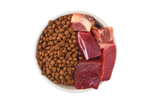 Why Dog Food with Organ Meat Is Essential for Better Canine Nutrition