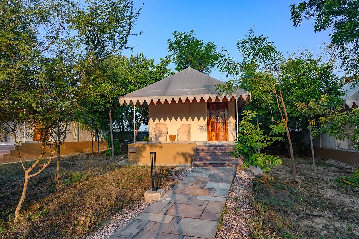 Best Resorts in Sariska: Where to Stay for a Great Wildlife Trip