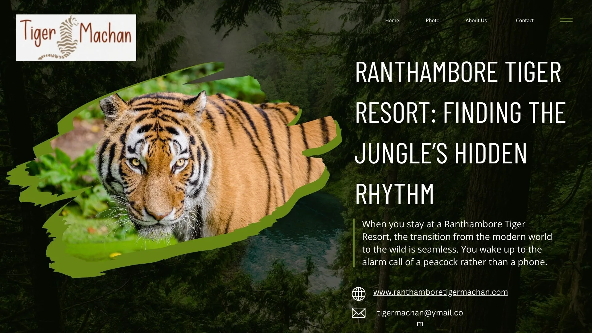 Ranthambore Tiger Resort: Finding the Jungle’s Hidden Rhythm