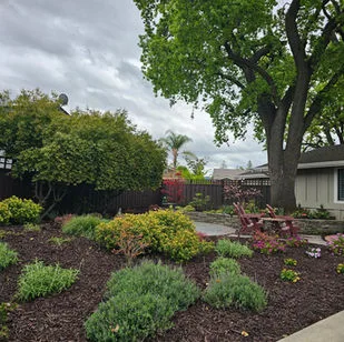 Landscape Design Mistakes Homeowners Should Avoid Before Starting a Project