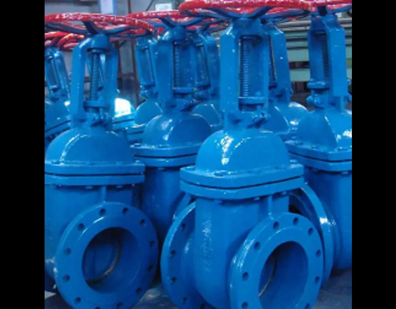 Rising stem gate valve supplier in UAE