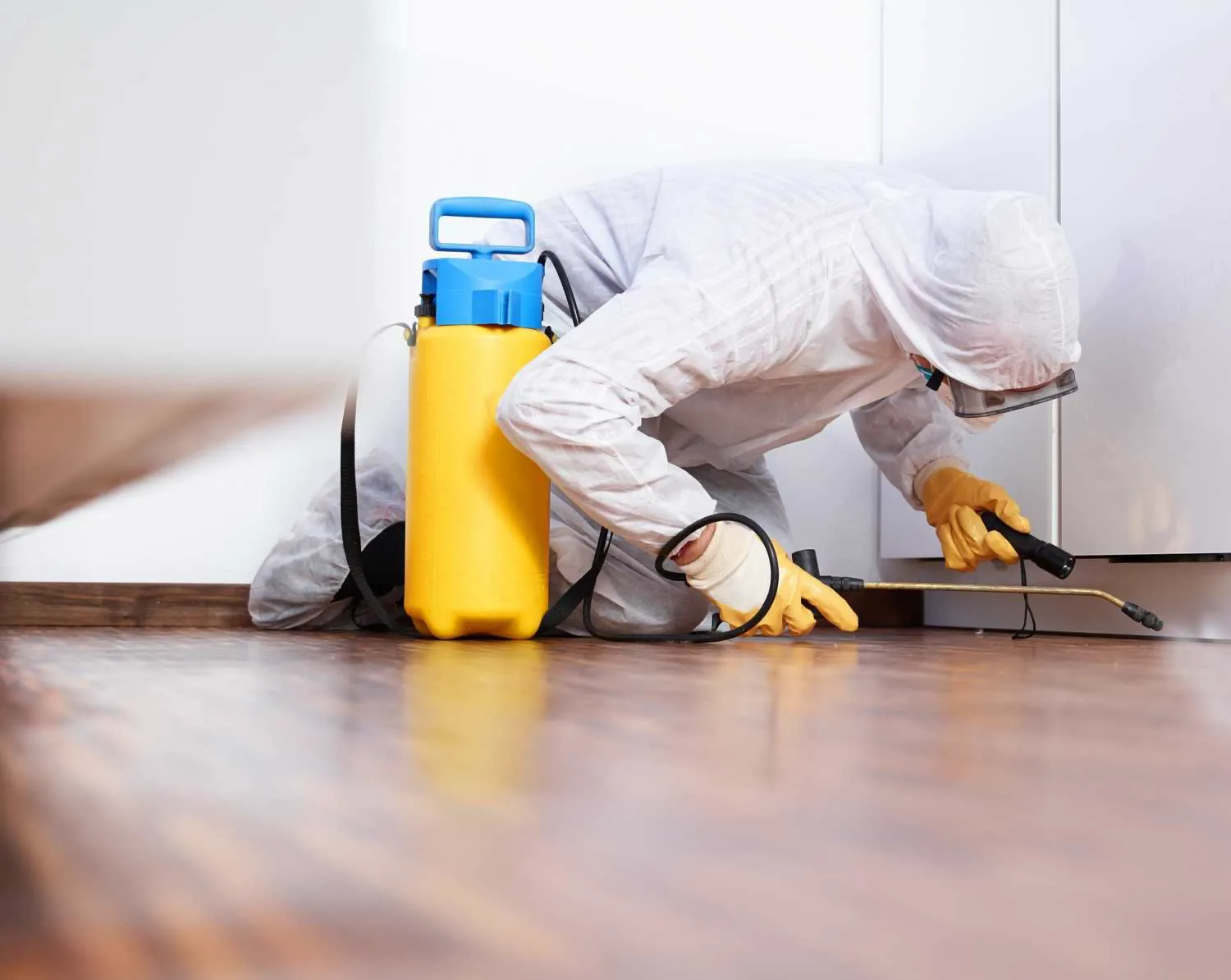 Protect Your Home Year-Round with Expert Pest Control Services in Houston, TX
