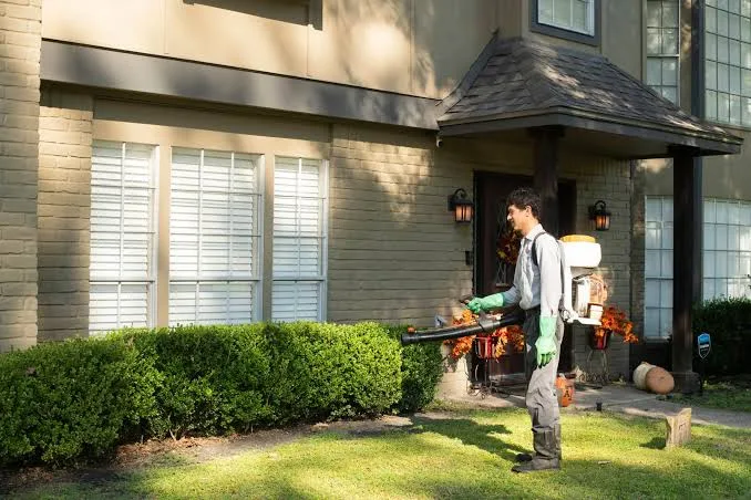 Why Professional Pest Control Is Essential for a Healthy Home