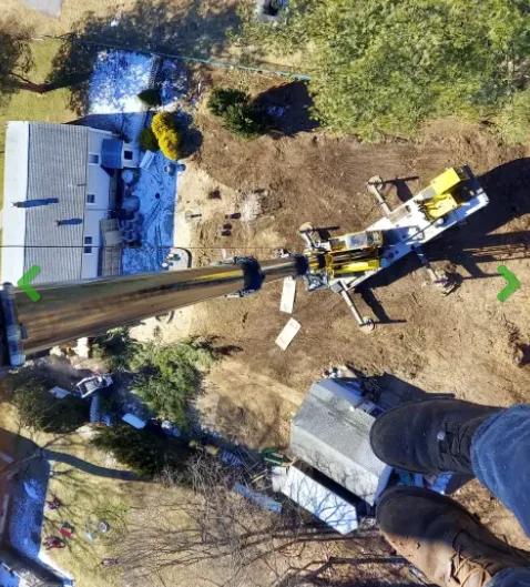 Hazardous Tree Removal: Protect Your Property with Lord's Tree Service