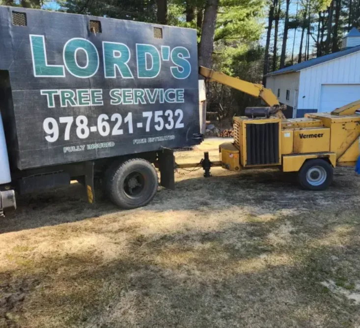 Billerica Tree Removal by Lord's Tree Service LLC