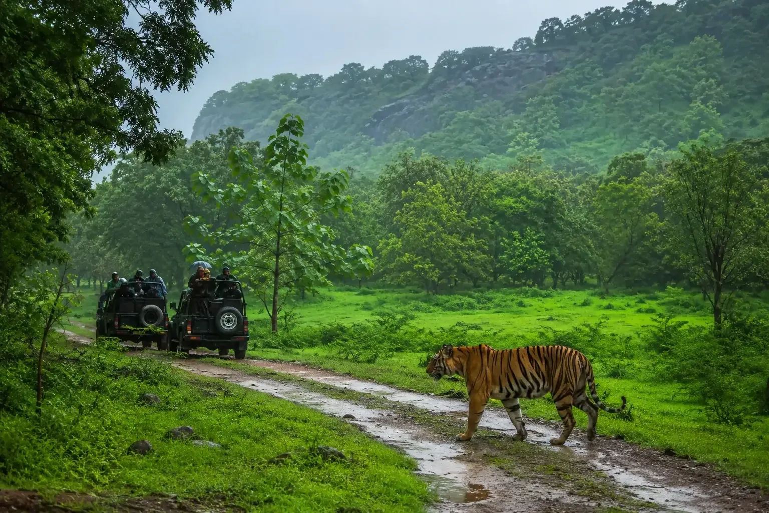 Top 5 Places to Visit in Sawai Madhopur, India