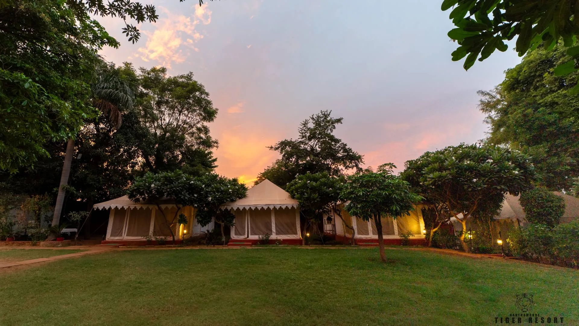 Ranthambore Safari Experience: Canter vs Jeep Guide