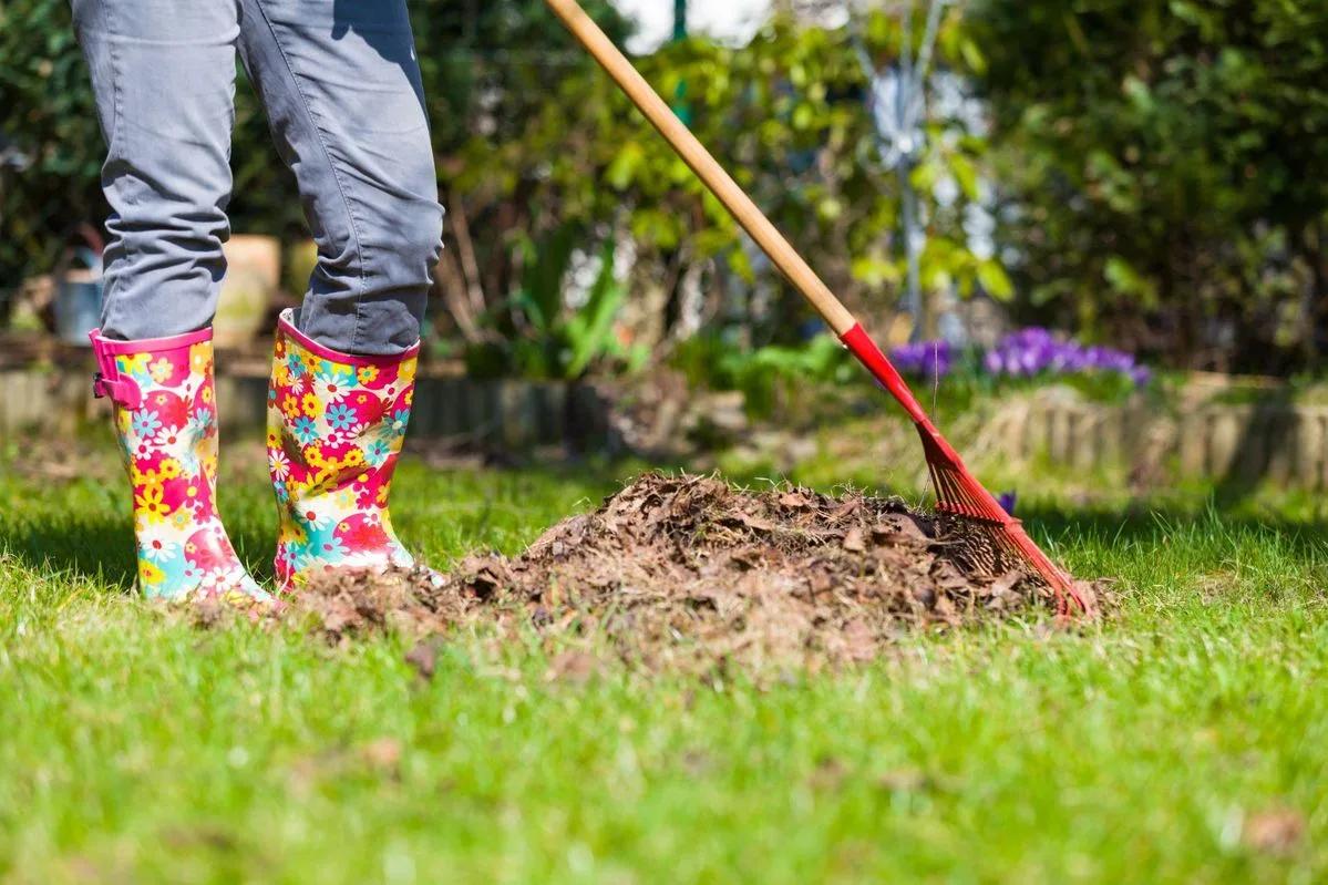 Gardening Services in Canberra for a Beautiful Outdoor Space