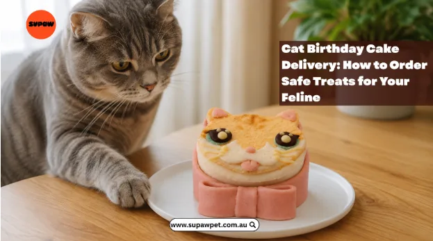 Cat Birthday Cake Delivery: How to Order Safe Treats for Your Feline