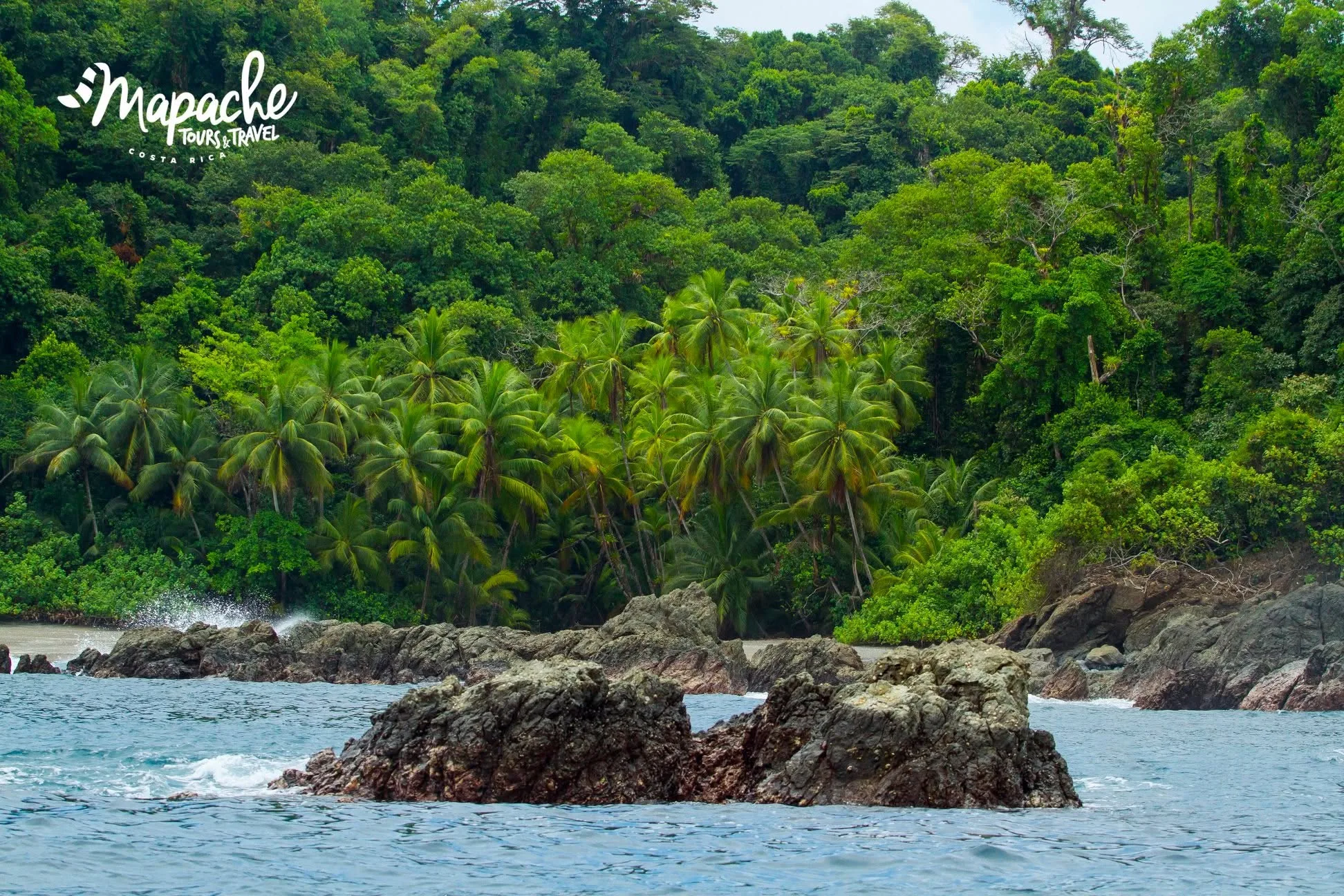 Why Costa Rica Trip Packages Are Perfect for Every Type of Traveler