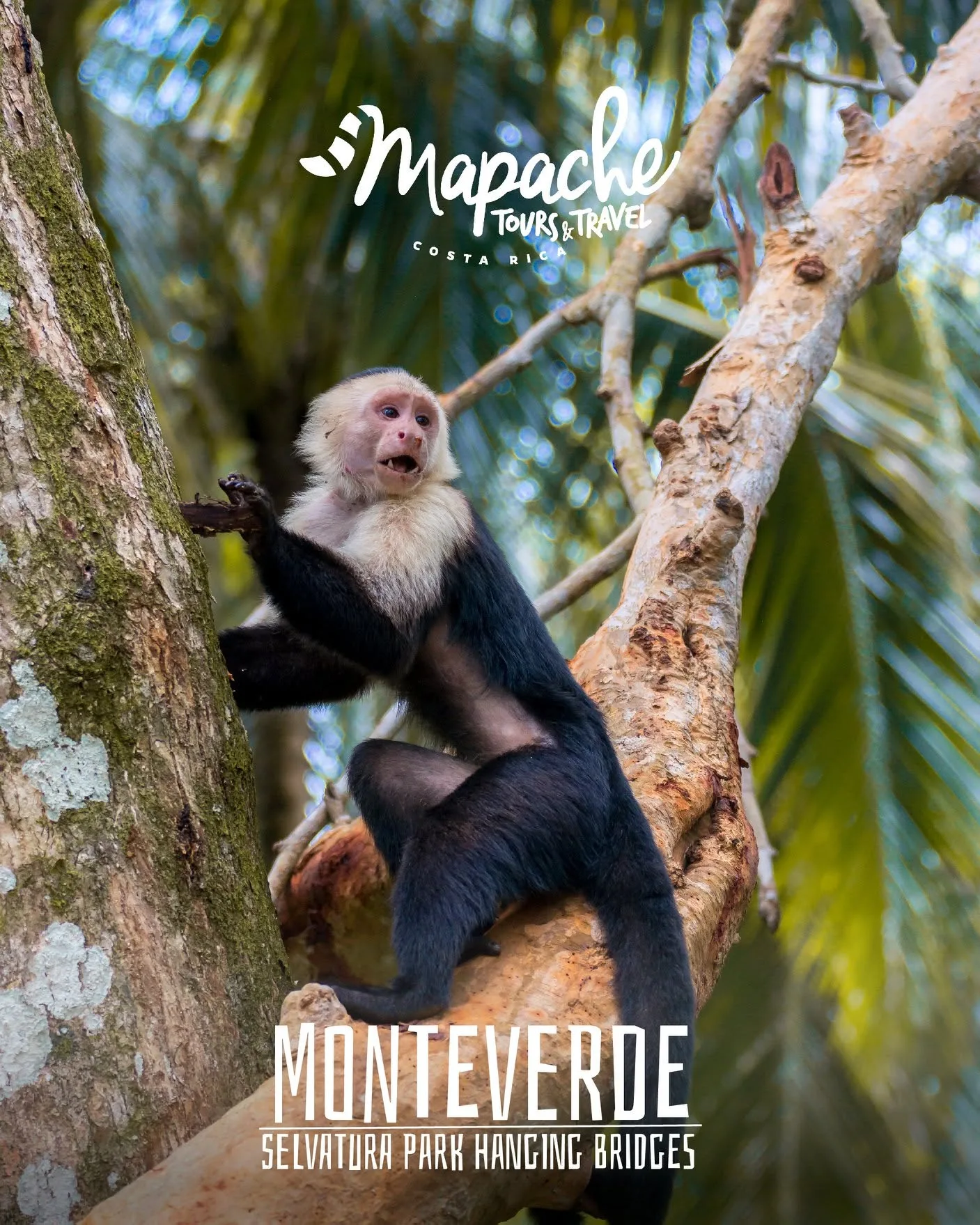 Adventure-Filled Vacation Packages to Costa Rica for Thrill Seekers