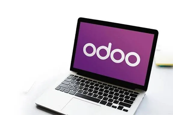 Best Odoo Consultants in Jaipur for ERP Implementation
