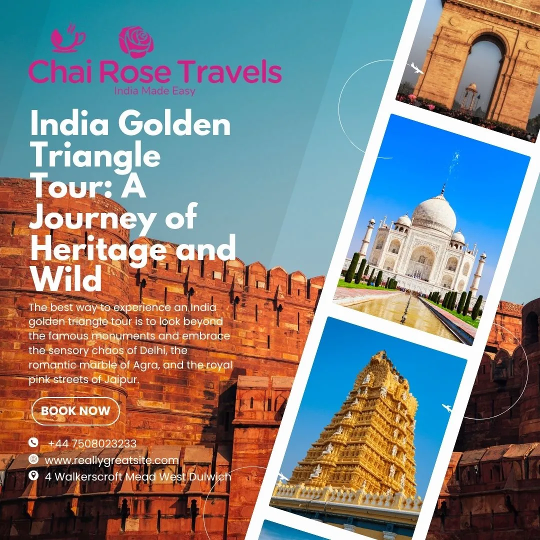 India Golden Triangle Tour: A Journey of Heritage and Wild