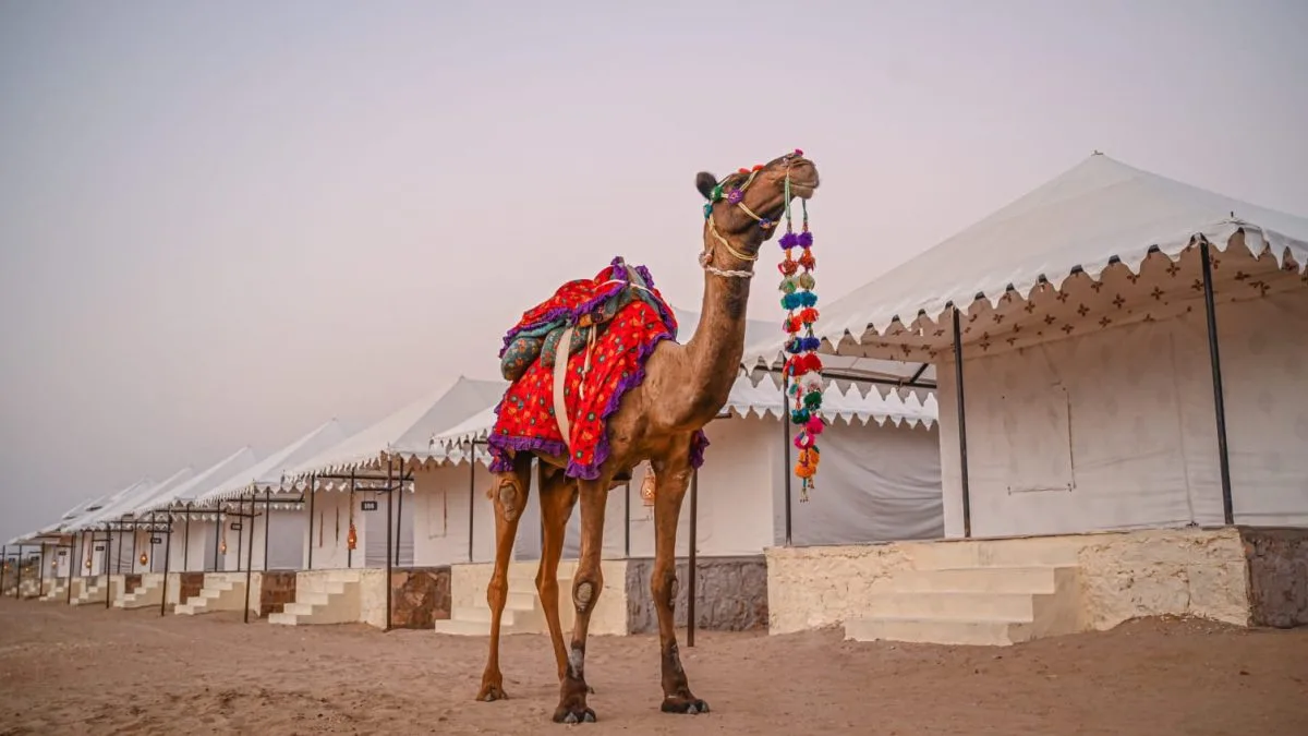 Jaisalmer or Bikaner? Top Thar Desert Safari Spots