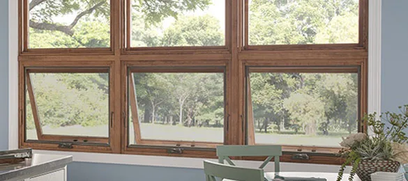 Pet Door Installation in New Zealand for Comfortable Everyday Living