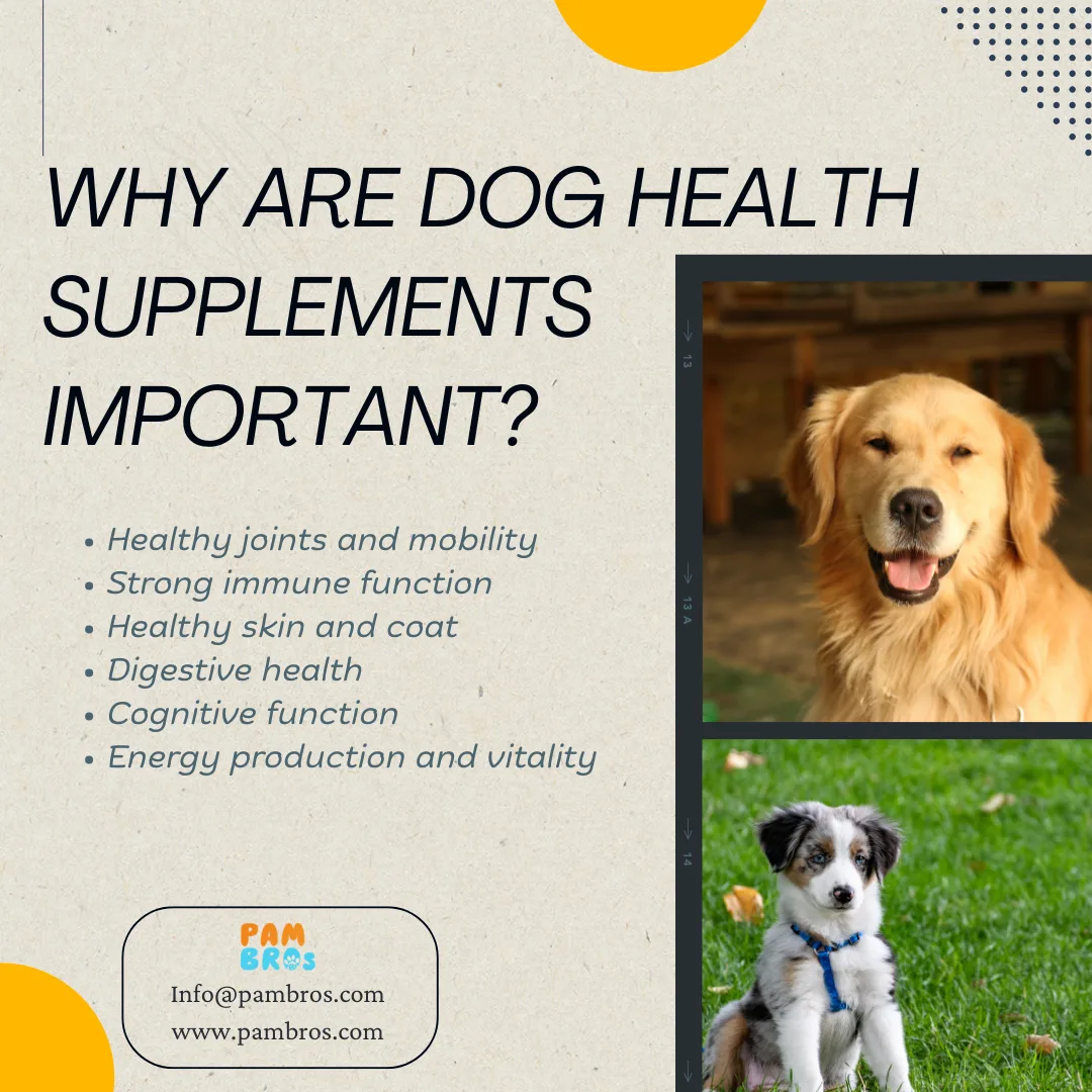 Essential Vitamins and Minerals in Dog Health Supplements