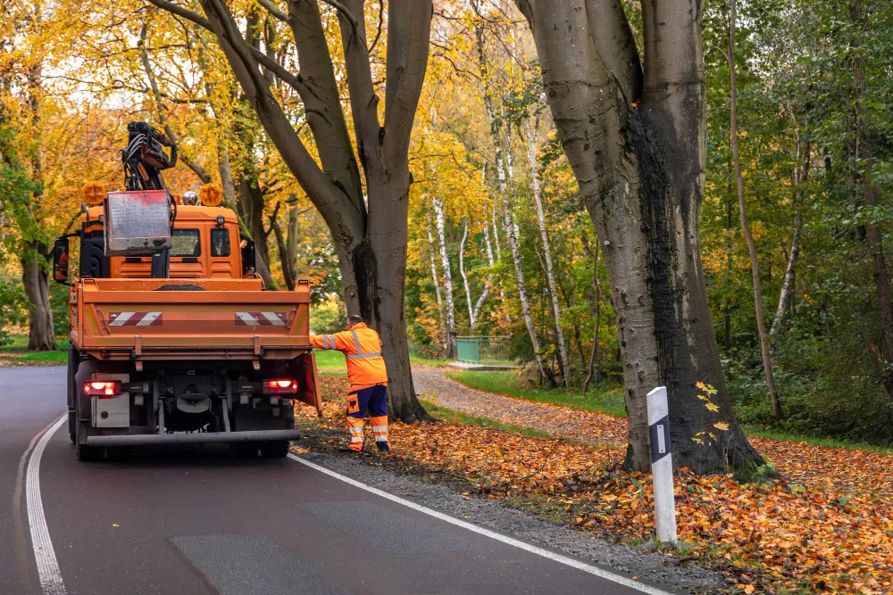Top Benefits of Hiring Junk Removal Solutions Experts in Dublin