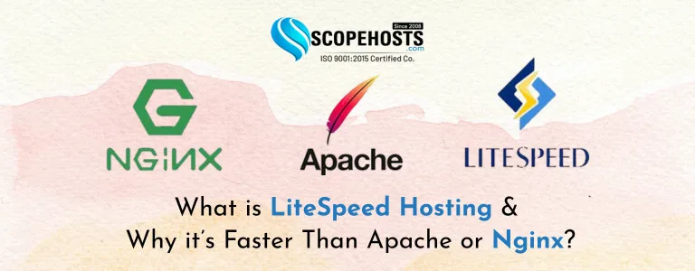 What is LiteSpeed Hosting & Why it’s Faster Than Apache or Nginx?