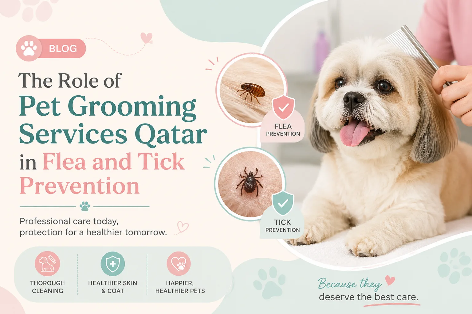 What Makes Professional Mobile Pet Grooming in Doha Different?