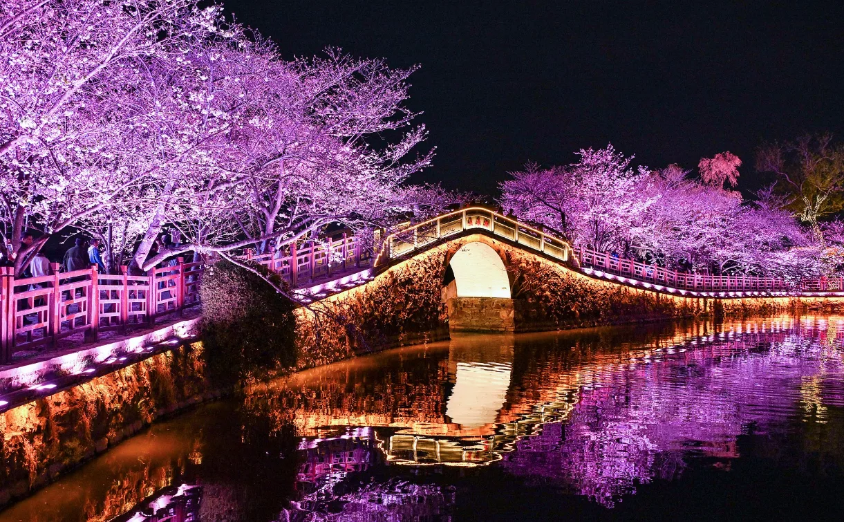 2.6-kilometer "coastline" illuminated in Jinsha Bay, Zhanjiang, Guangdong