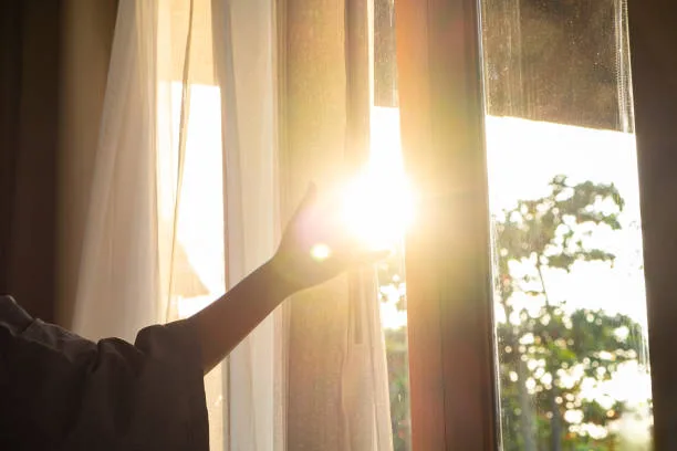 Modernizing Residential Comfort: The Role of Architectural Film