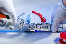 Reliable Plumbing Solutions for Comfortable Living in Wellington