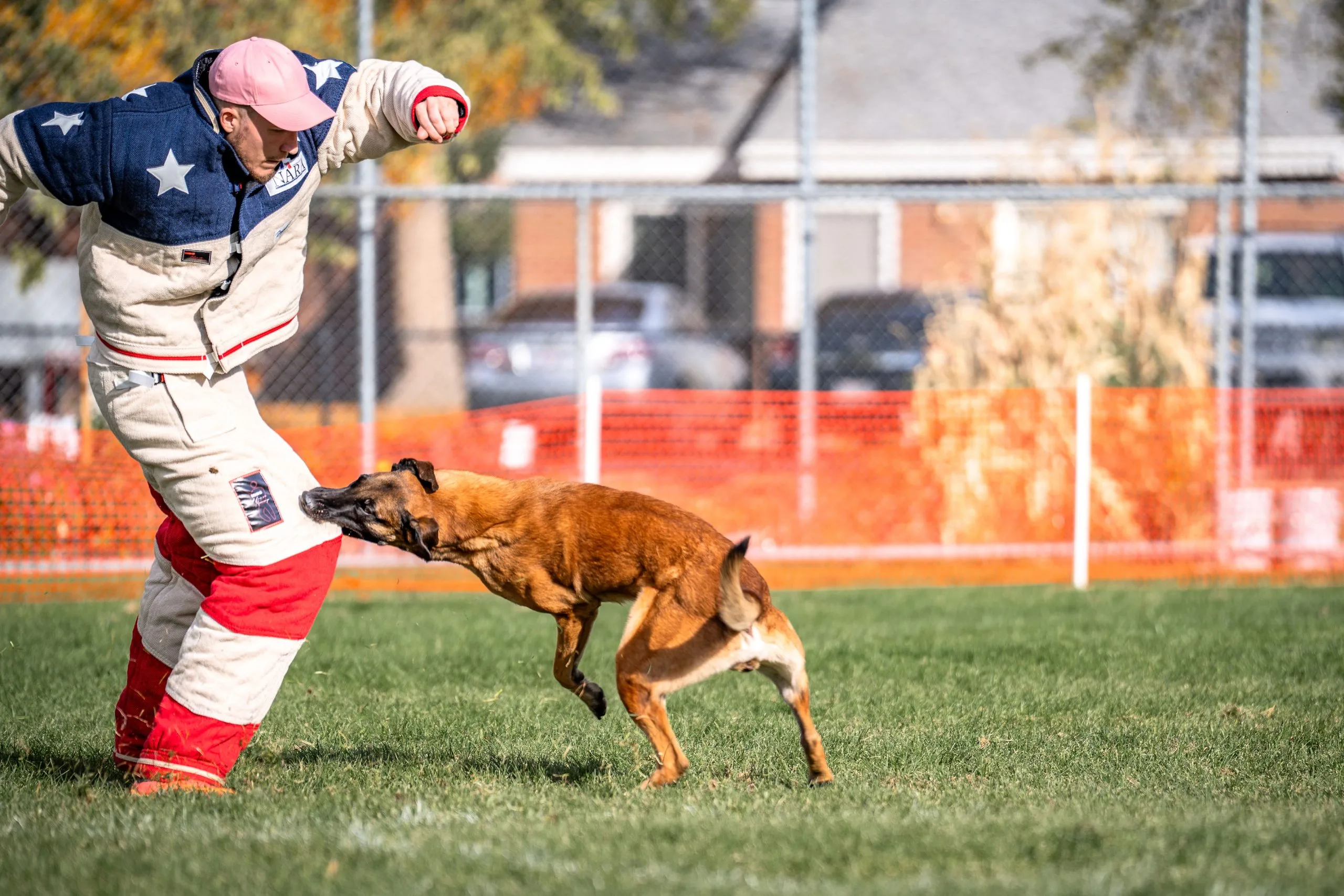 Protection Dogs vs Security Systems in California: Which Wins?
