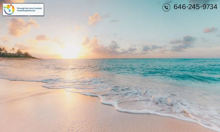 Jamaica Vacation Packages: Explore the Caribbean with TML Travel