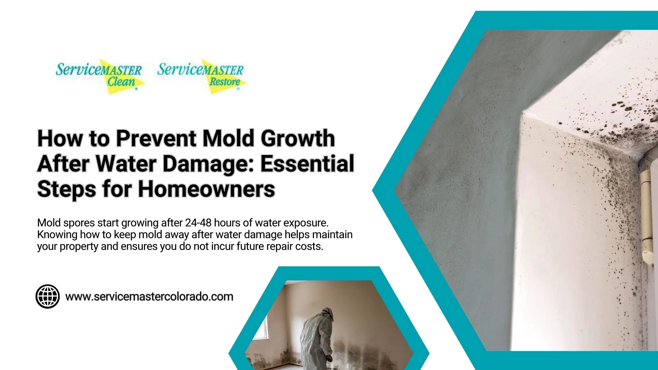 How to Prevent Mold Growth After Water Damage: Essential Steps for Homeowners