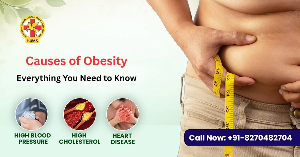 Causes of Obesity: Everything You Need to Know