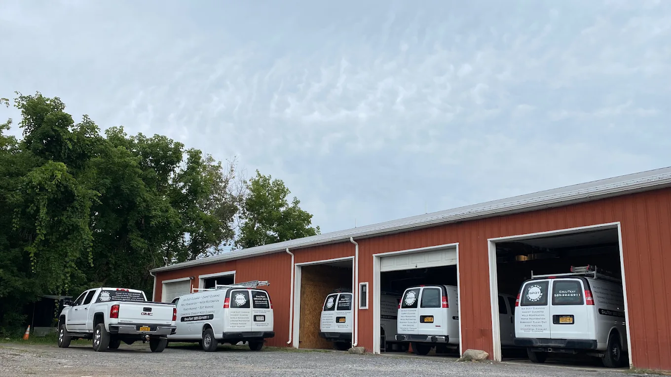 How Do You Know If Summer Rain Has Caused Water Damage in Your Home?