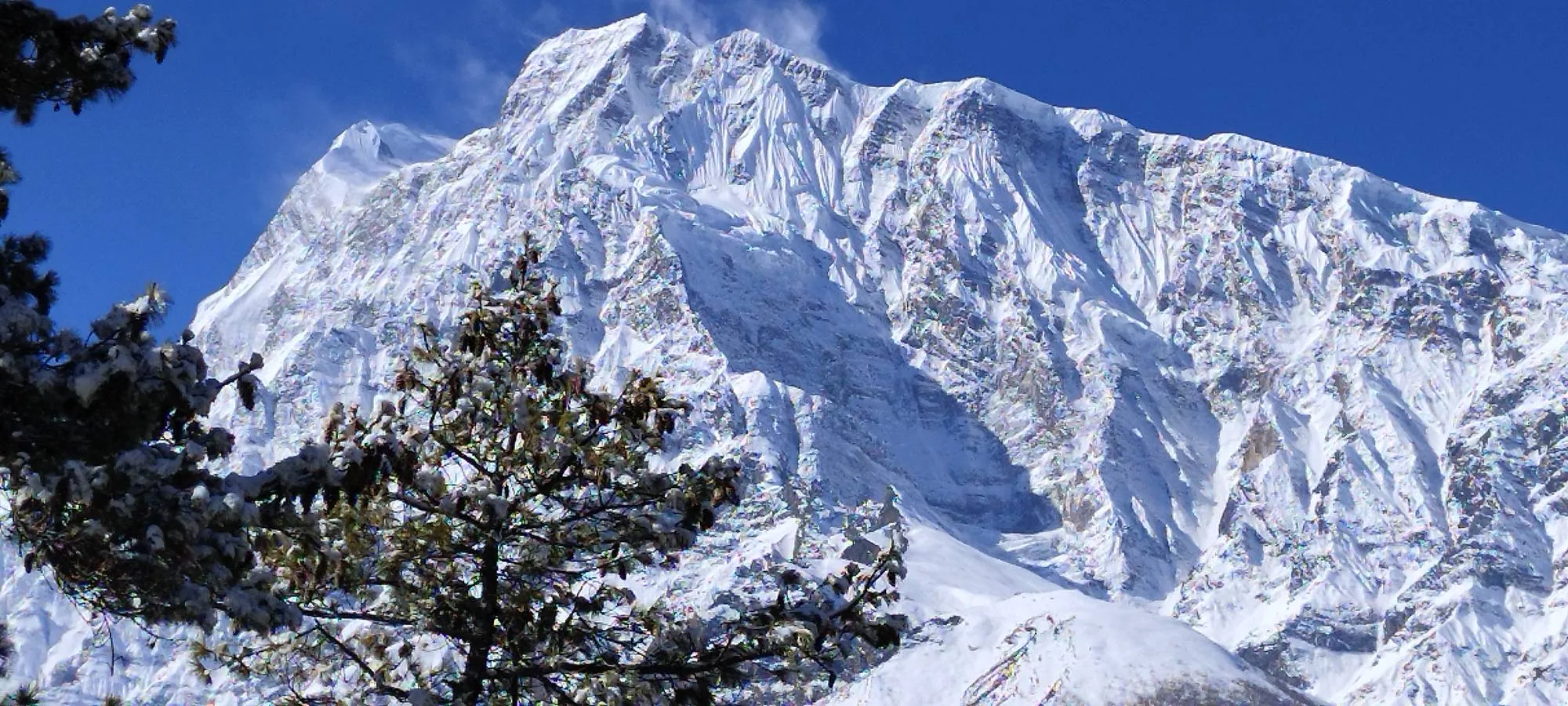 Annapurna Base Camp Trek – Complete Guide to ABC Trek in Nepal