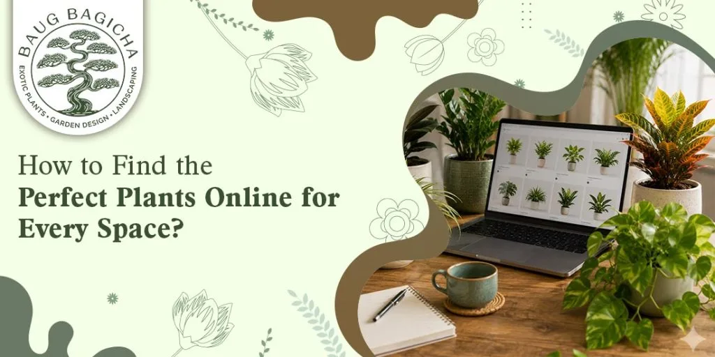 How to Find the Perfect Plants Online for Every Space