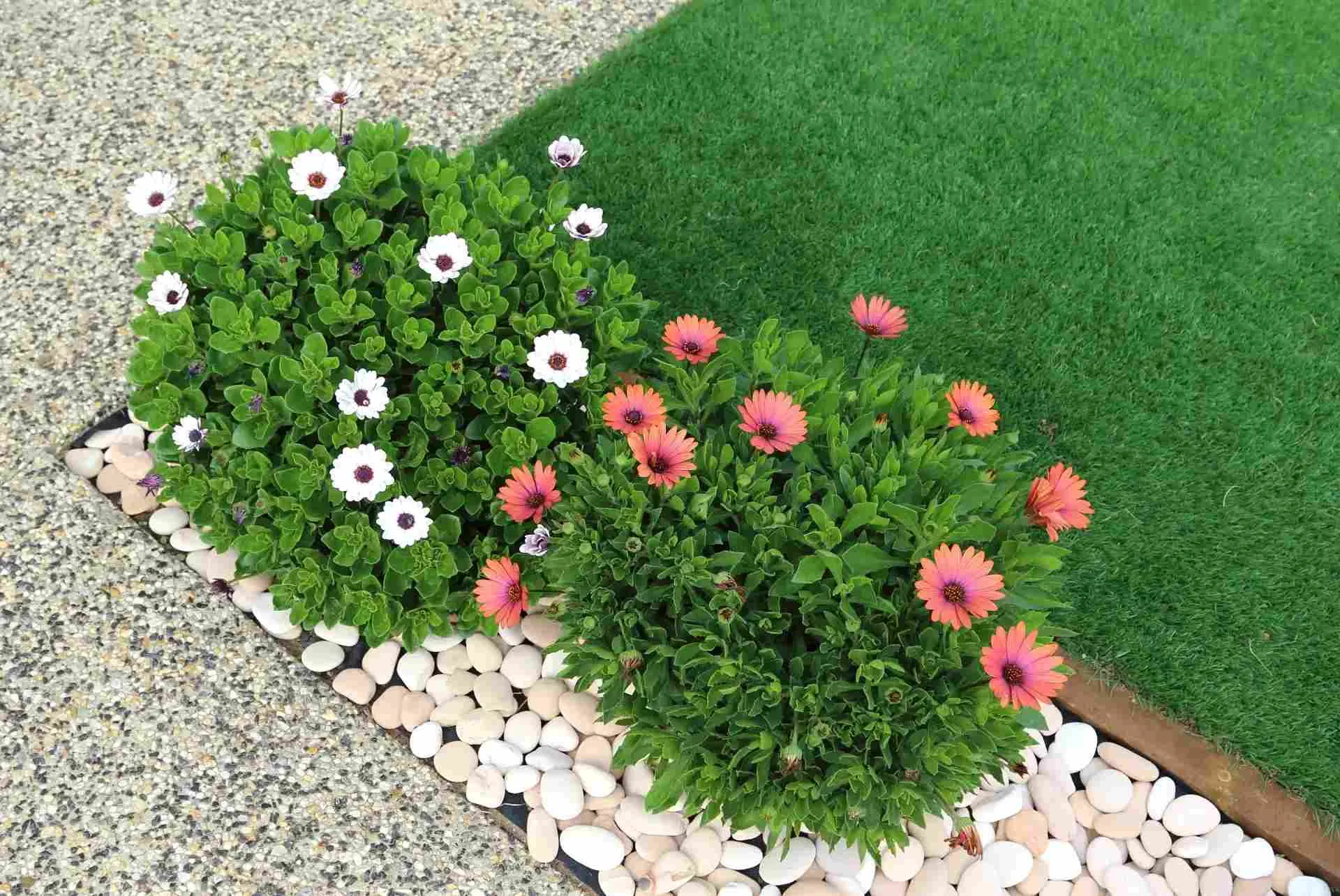 Artificial Grass in Bromley: What BR1, BR2 and BR3 Homeowners Need to Know
