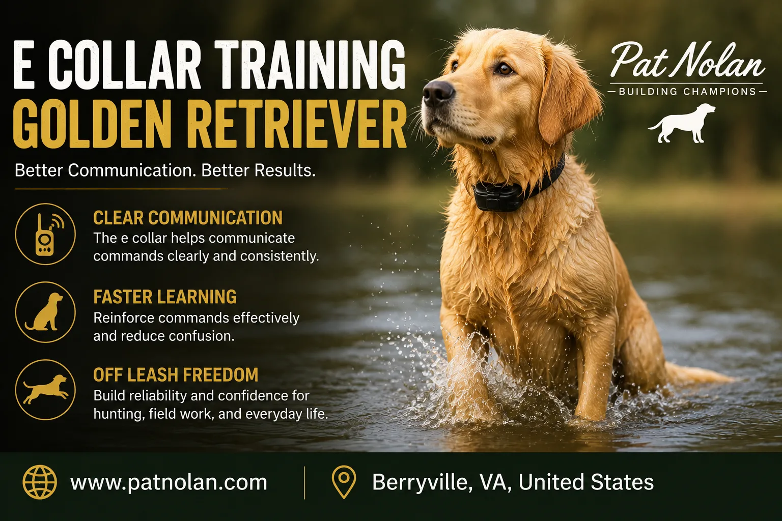 Pat Nolan Dog Training Tips for Building a Reliable Hunting Retriever